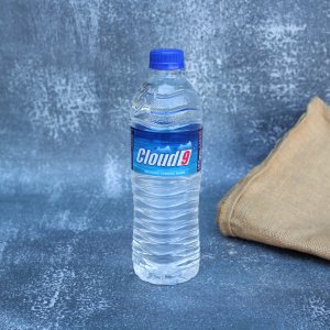 Mineral Water 500 ml